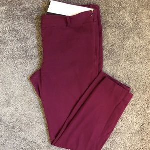Tall Minnie pant in stretch twill - Plum 8T